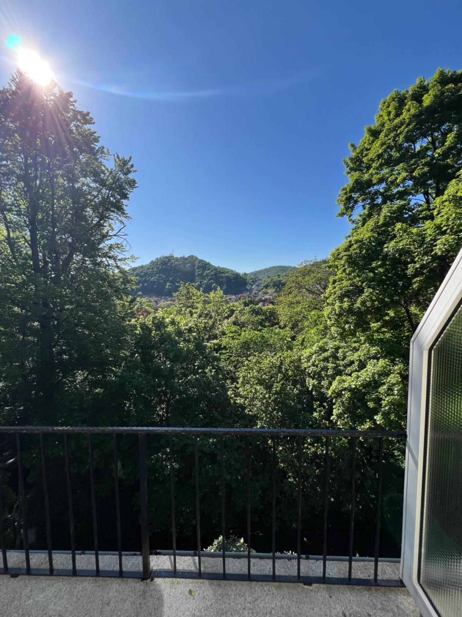 Pension Villa Pangea 巴特劳特堡 外观 照片