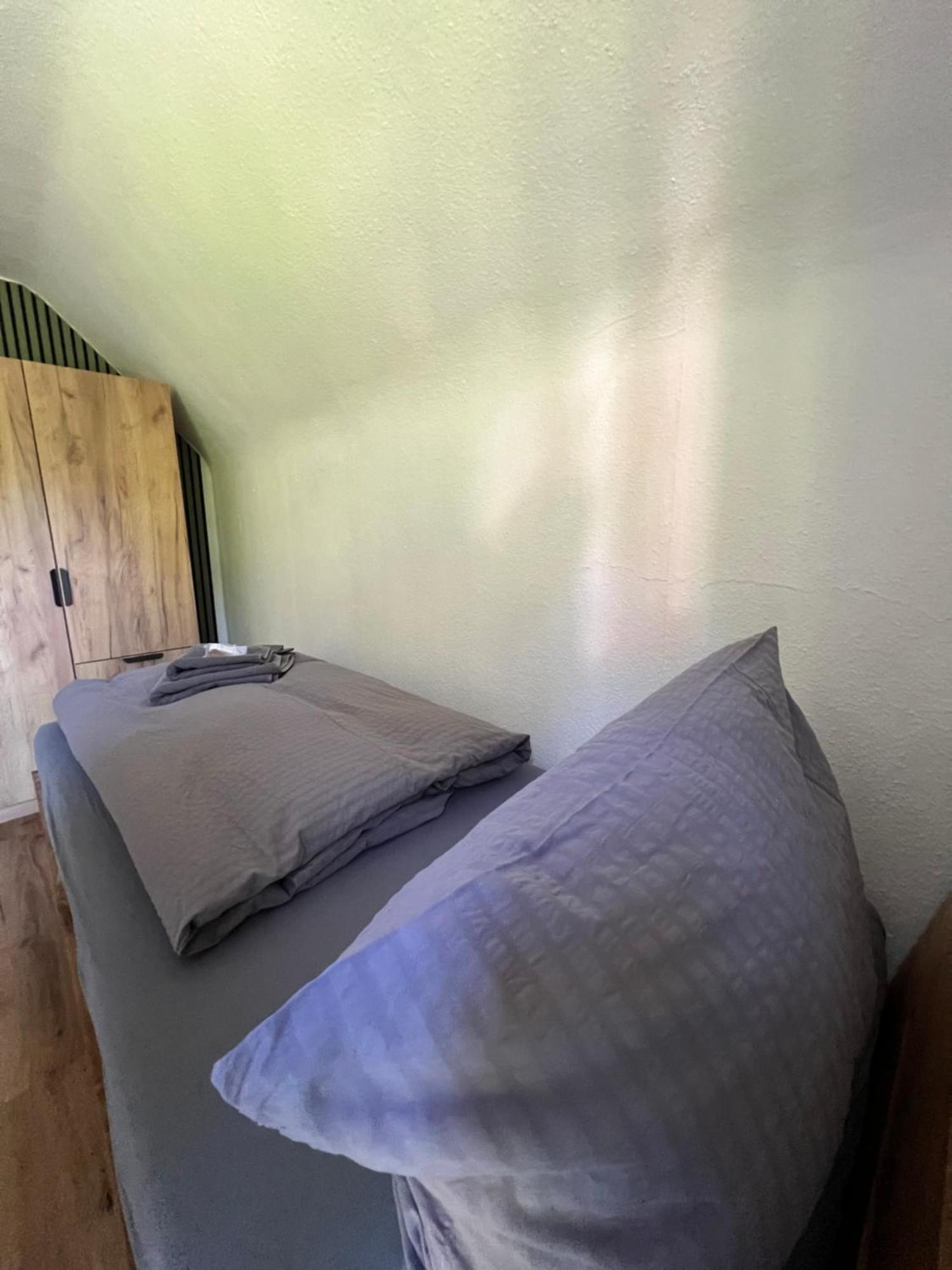 Pension Villa Pangea 巴特劳特堡 外观 照片
